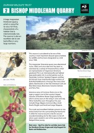 Bishop Middleham Quarry - Durham Wildlife Trust