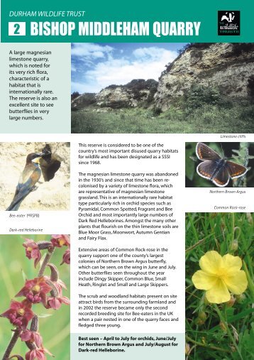 Bishop Middleham Quarry - Durham Wildlife Trust