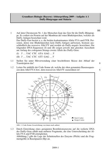 2009-1 Grundkurs Biologie (Bayern): Abiturprüfung ... - STARK Verlag