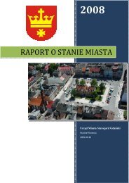 Raport o stanie miasta w 2008 r. - Starogard GdaÅski