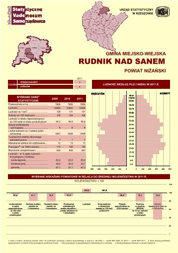 RUDNIK NAD SANEM - Główny Urząd Statystyczny