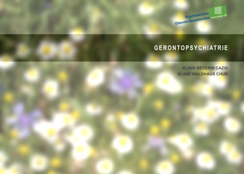 Gerontopsychiatrie
