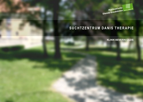 Suchtzentrum Danis Therapie