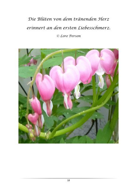 Blumen-Foto-Buch