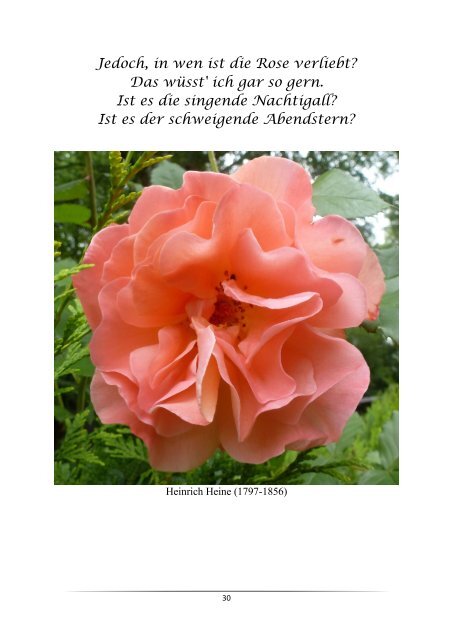 Blumen-Foto-Buch