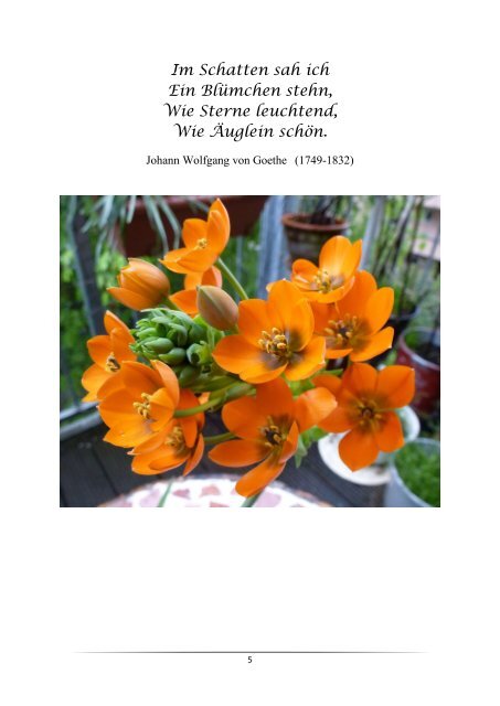 Blumen-Foto-Buch