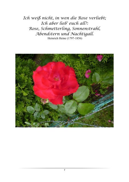 Blumen-Foto-Buch