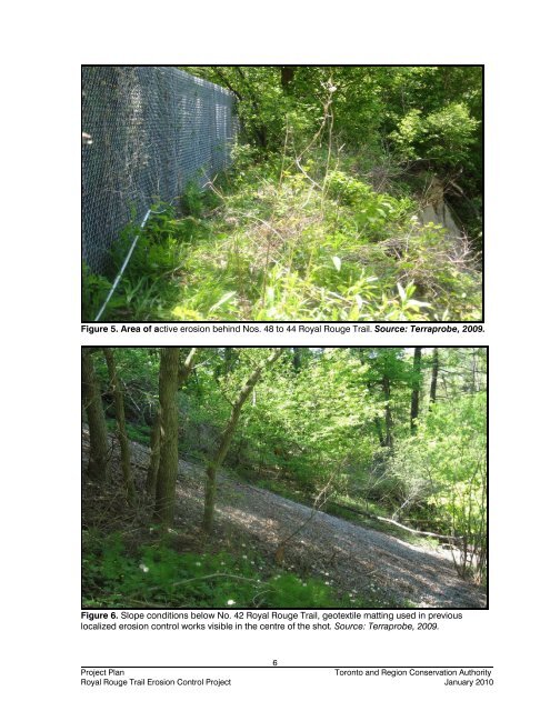 Royal Rouge Trail Erosion Control Project - Toronto and Region ...