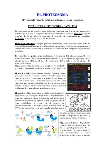 EL PROTEOSOMA - BioScripts