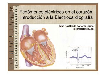 II. Fenomenos electrocardiograficos.pdf - VeoApuntes.com