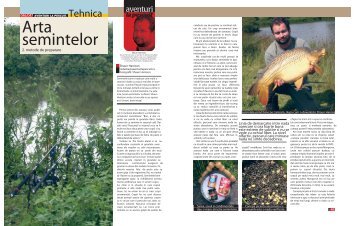 Arta semintelor: Metode de preparare - Quest Baits