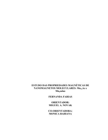 ESTUDO DAS PROPRIEDADES MAGNÉTICAS DE ... - UFRJ