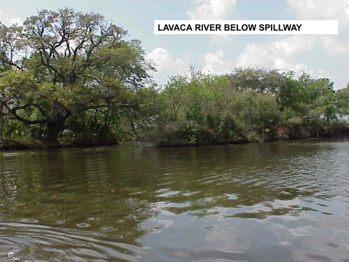 LAKE TEXANA RESERVOIR