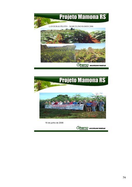 ComissÃ£o Especial da Bioenergia - RCE 1/2006 - RelatÃ³rio