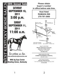 West Kentucky Horse Sale, Inc. - West Kentucky Horse Sales