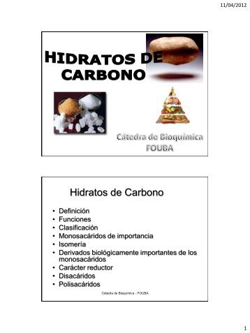 Hidratos de Carbono