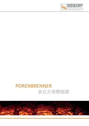 PORENBRENNER/多孔介质燃烧器