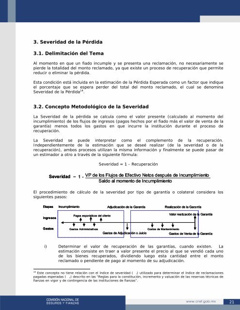 Requerimiento MÃ­nimo de Capital. Replanteamientos para ... - CNSF