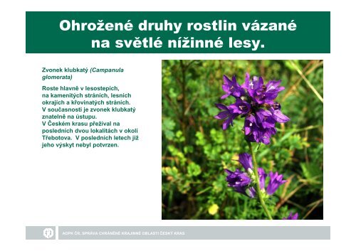 SprÃ¡va CHKO ÄeskÃ½ kras EnviromentÃ¡lnÃ­ pÅÃ­nos nÃ­zkÃ©ho a ...