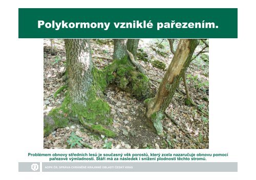 SprÃ¡va CHKO ÄeskÃ½ kras EnviromentÃ¡lnÃ­ pÅÃ­nos nÃ­zkÃ©ho a ...