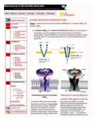 SantÃ© MÃ©decine Education Neurologie Physiologie Pathologies ...