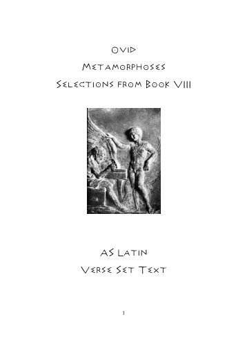 Ovid Metamorphoses Selections from Book VIII AS Latin Verse Set ...