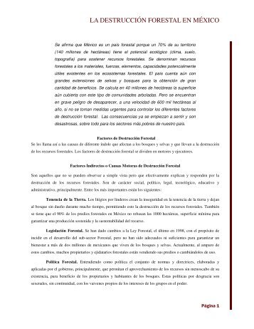 LA DESTRUCCIÃN FORESTAL EN MÃXICO - Daniel Rivas