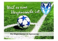 Die Möglichkeiten im Sponsoring