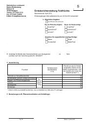 Formular (PDF) - Statistisches Landesamt Baden-Württemberg