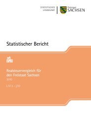 Statistischer Bericht L IV 3 - j/10 [Download,*.pdf, 0,71 MB] - Statistik ...