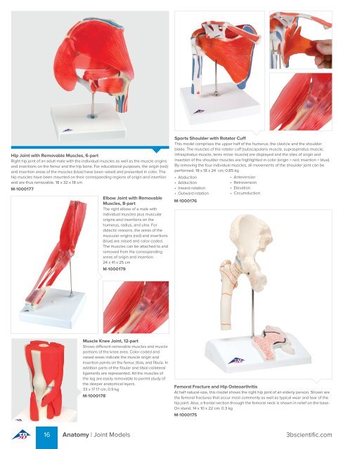 3B Scientific - MEDICAL EDUCATION Catalog