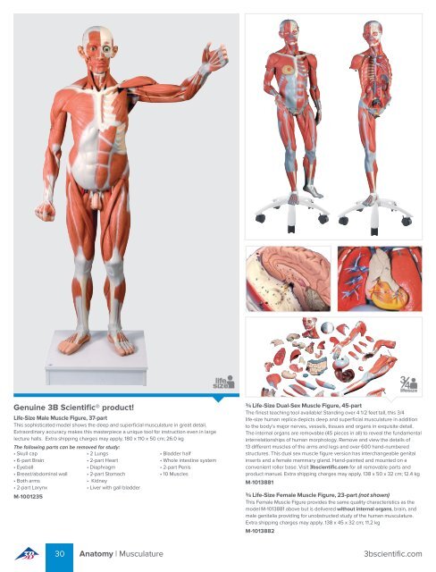 3B Scientific - MEDICAL EDUCATION Catalog