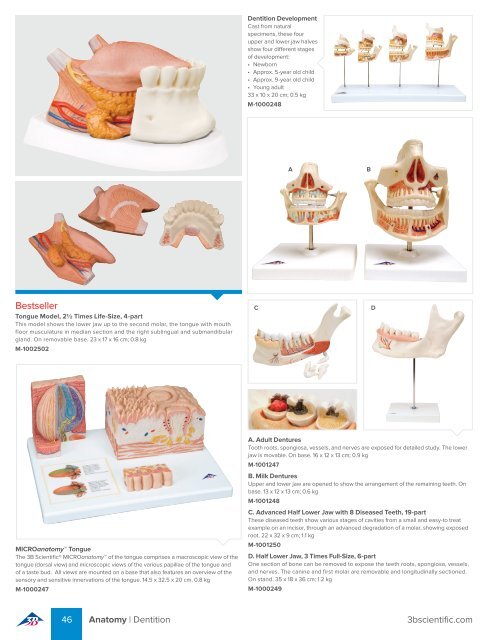 3B Scientific - MEDICAL EDUCATION Catalog