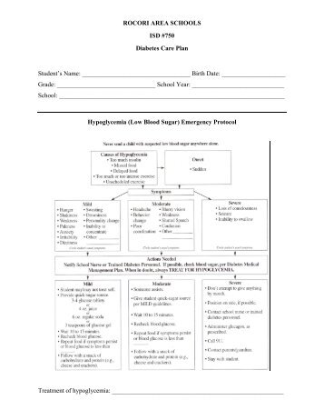 ROCORI AREA SCHOOLS ISD #750 Diabetes Care Plan Student's ...