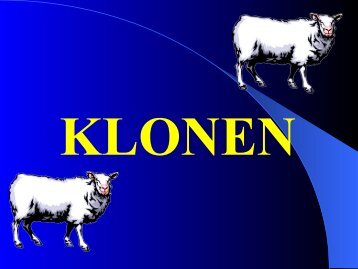 KLONEN