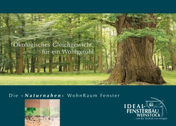 IDEAL Holzfenster