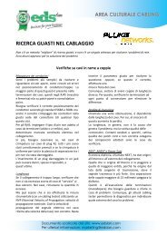 FLUKE NETWORKS- RICERCA GUASTI NEL CABLAGGIO - EDSlan