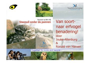 powerpoint-presentatie 17-01-09 def - STeenuil Overleg NEderland