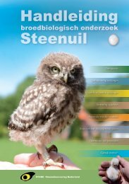 Broedbiologisch onderzoek - STeenuil Overleg NEderland