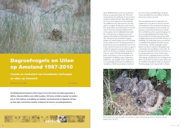 Dagroofvogels en Uilen op Ameland 1987-2010 - STeenuil Overleg ...