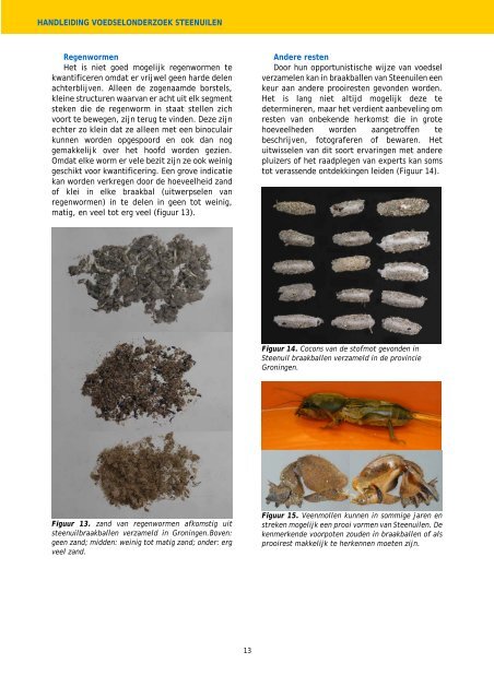 Handleiding voor voedselonderzoek bij steenuilen