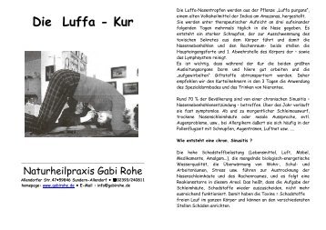 Faltblatt Luffa-Kur - Stefan Nolte Â· Webdesign