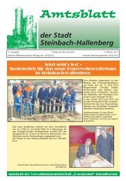 Amtsblatt der Stadt Steinbach-Hallenberg April 2013.pdf