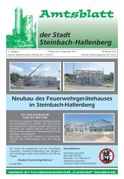 Amtsblatt der Stadt Steinbach-Hallenberg September 2013.pdf