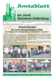 Amtsblatt der Stadt Steinbach-Hallenberg August 2013.pdf