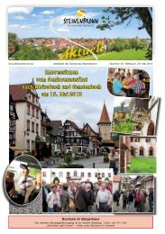 Steinenbronn Aktuell Nr. 22 vom 29. Mai 2013