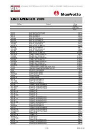 Manfrotto Gruppo Lino Avenger 2009 - Milso