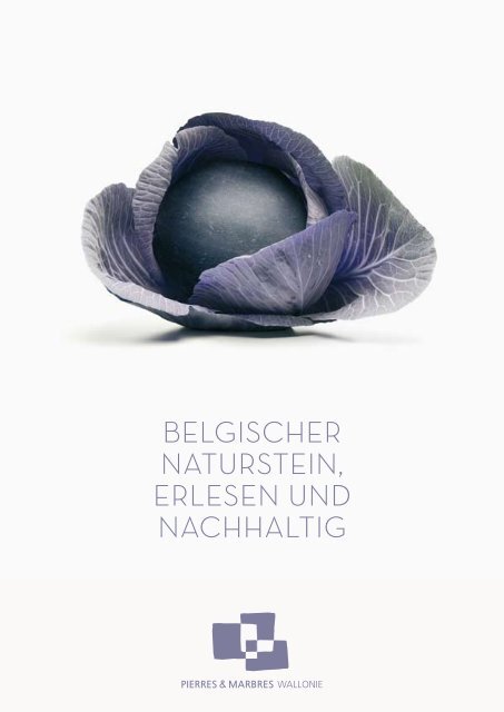 Belgischer NatursteiN, erleseN uNd Nachhaltig - Pierres & Marbres ...