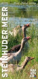 Meer Natur erleben - Steinhuder-Meer.de