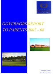 Governors' Report 2008